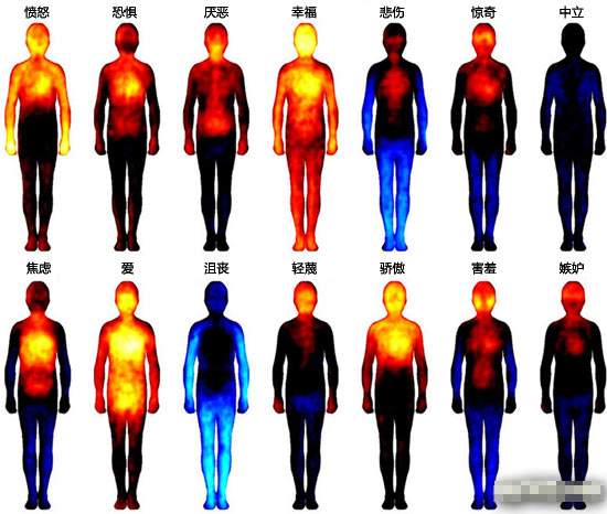 人在不同情绪下的热像图
