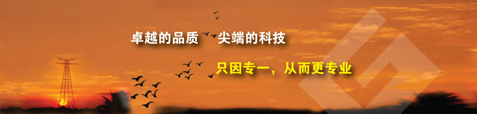 红外热成像系统在线测温产品 红外热成像系统在线测温产品