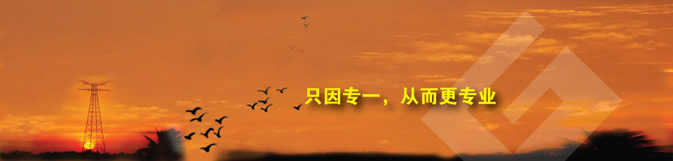 红外热成像系统在线测温产品 红外热成像系统在线测温产品